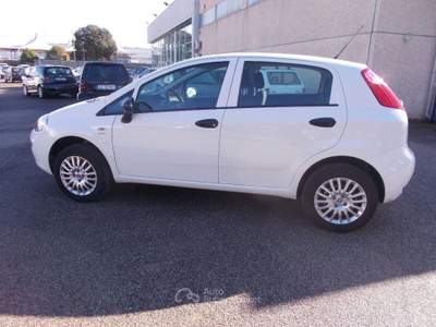 Fiat Punto 1.4 8V 5p. Natural Power Street Bianco usata Terni