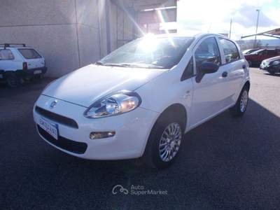 Fiat Punto 1.4 8V 5p. Natural Power Street Bianco usata Terni