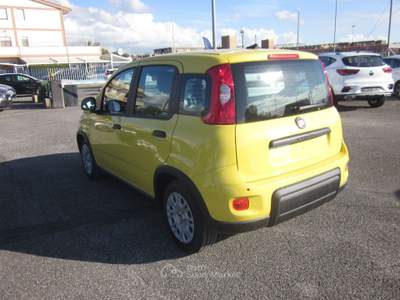 Fiat Pandina 1.0 FireFly 65cv S&S 6m Hybrid Icon Giallo usata ROMA