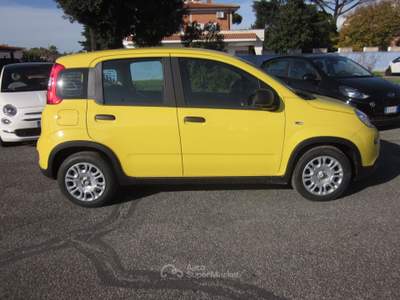 Fiat Pandina 1.0 FireFly 65cv S&S 6m Hybrid Icon Giallo usata ROMA