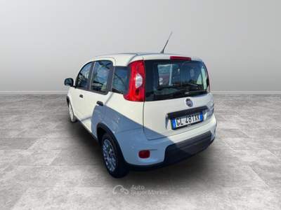 Fiat Panda  - panda 1.0 firefly hybrid city life s&s 70cv Bianco usata Biella