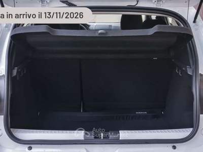 Dacia Sandero Streetway Eco-G 120 CV Expression Argento usata Pieve di Cento