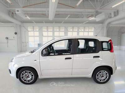 Fiat Panda hibrid city life 1.0 Bianco usata Roma
