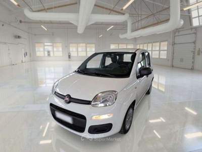 Fiat Panda hibrid city life 1.0 Bianco usata Roma
