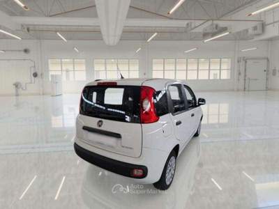 Fiat Panda hibrid city life 1.0 Bianco usata Roma