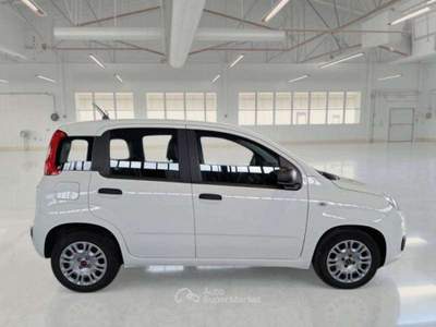 Fiat Panda hibrid city life 1.0 Bianco usata Roma