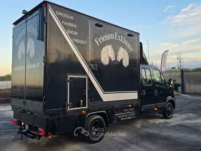Iveco Daily - Trasporto Cavalli Nero usata Adelfia