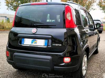 Fiat Panda 1.0 FireFly S&amp;S Hybrid City Life Nero usata Porto Mantovano