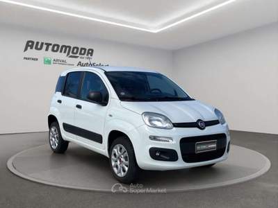 Fiat Panda VAN 4x4 2 POSTI Bianco usata San Miniato
