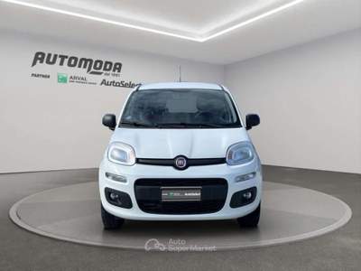 Fiat Panda VAN 4x4 2 POSTI Bianco usata San Miniato