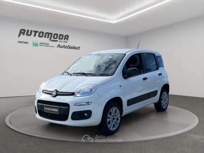Fiat Panda VAN 4x4 2 POSTI Bianco usata San Miniato