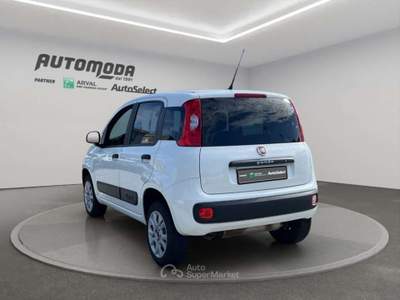 Fiat Panda VAN 4x4 2 POSTI Bianco usata San Miniato