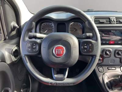 Fiat Panda VAN 4x4 2 POSTI Bianco usata San Miniato