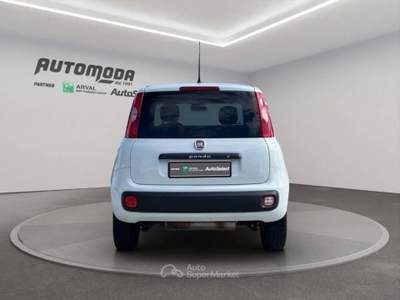 Fiat Panda VAN 4x4 2 POSTI Bianco usata San Miniato