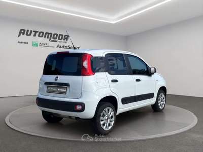 Fiat Panda VAN 4x4 2 POSTI Bianco usata San Miniato