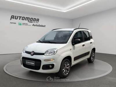 Fiat Panda VAN 1.3 MJT 4X4 Bianco usata San Miniato