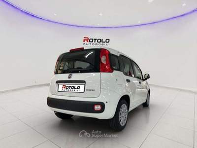 Fiat Panda Panda 1.0 FireFly S&S Hybrid Pop Bianco usata Torino