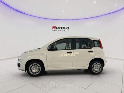 Fiat Panda Panda 1.0 FireFly S&S Hybrid Pop Bianco usata Torino