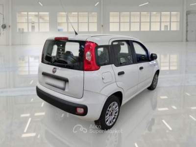 Fiat Panda unico proprietario, non fumatore, Bianco usata Palmi