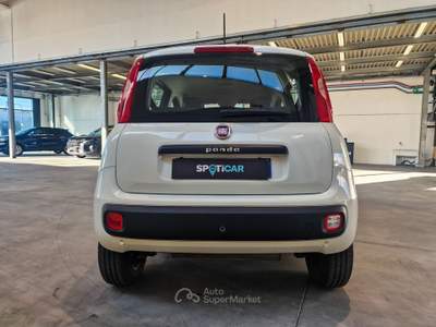 Fiat Panda 0.9 t.air t. natural power Easy 70cv Bianco usata Mappano