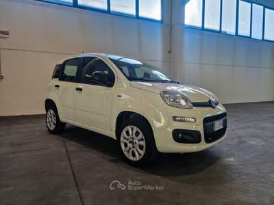 Fiat Panda 0.9 t.air t. natural power Easy 70cv Bianco usata Mappano