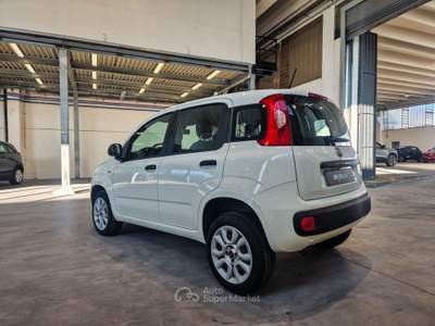 Fiat Panda 0.9 t.air t. natural power Easy 70cv Bianco usata Mappano