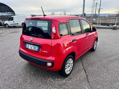 Fiat Panda 1.0 GSE S&S Hybrid Easy Van 4 posti Rosso usata Pieve di Soligo