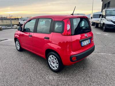 Fiat Panda 1.0 GSE S&S Hybrid Easy Van 4 posti Rosso usata Pieve di Soligo