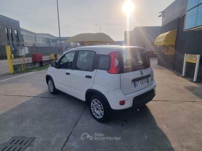 Fiat Panda 1.0 FireFly S&S Hybrid - OK NEOPATENTATI Bianco usata Cremosano