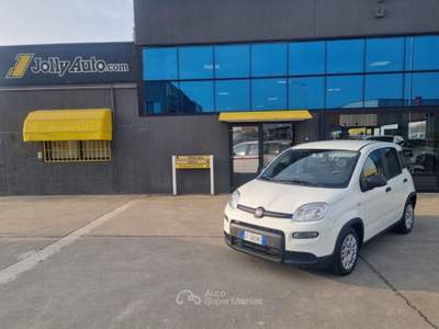 Fiat Panda 1.0 FireFly S&S Hybrid - OK NEOPATENTATI Bianco usata Cremosano