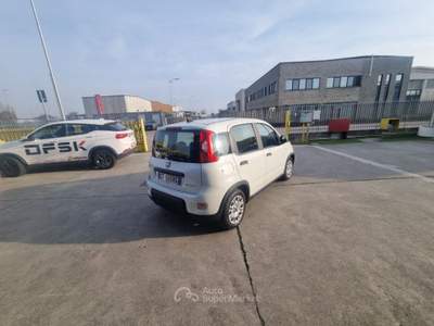 Fiat Panda 1.0 FireFly S&S Hybrid - OK NEOPATENTATI Bianco usata Cremosano