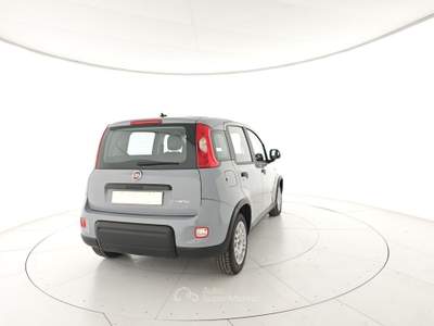 Fiat Panda 1.0 FireFly S&S Hybrid Grigio usata Capua