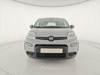 Fiat Panda 1.0 FireFly S&S Hybrid Grigio usata Capua