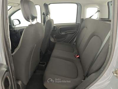 Fiat Panda 1.0 FireFly S&S Hybrid Grigio usata Capua