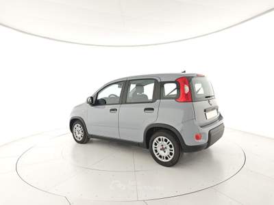 Fiat Panda 1.0 FireFly S&S Hybrid Grigio usata Capua