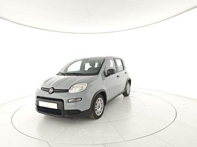 Fiat Panda 1.0 FireFly S&S Hybrid Grigio usata Capua