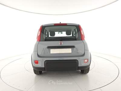Fiat Panda 1.0 FireFly S&S Hybrid Grigio usata Capua