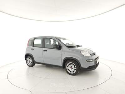 Fiat Panda 1.0 FireFly S&S Hybrid Grigio usata Capua