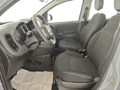 Fiat Panda 1.0 FireFly S&S Hybrid Grigio usata Capua