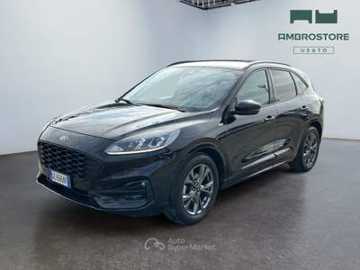 Ford Kuga  - kuga 1.5 ecoblue st-line 2wd 120cv Nero usata Segrate