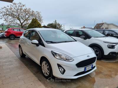 Ford Fiesta EcoBlue 5 porte Business Bianco usata Altamura