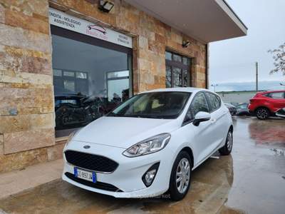 Ford Fiesta EcoBlue 5 porte Business Bianco usata Altamura