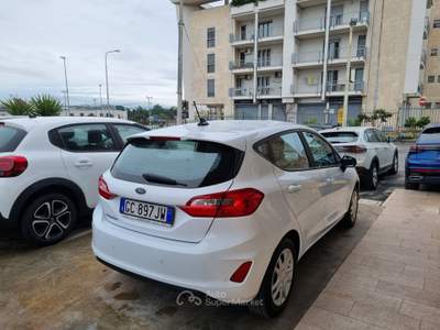 Ford Fiesta EcoBlue 5 porte Business Bianco usata Altamura