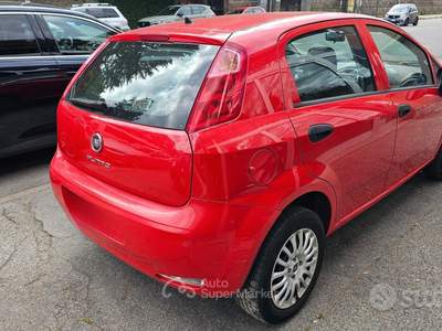 Fiat Punto 5 porte Natural Power Street usata Torino