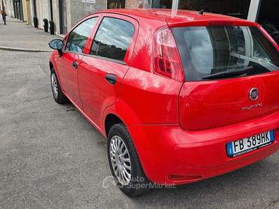 Fiat Punto 5 porte Natural Power Street usata Torino