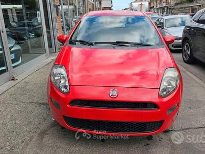 Fiat Punto 5 porte Natural Power Street usata Torino
