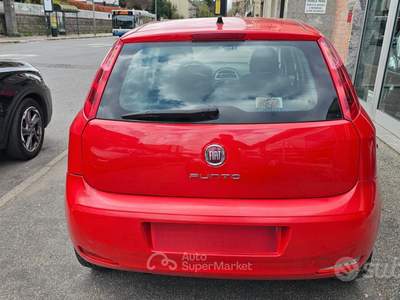 Fiat Punto 5 porte Natural Power Street usata Torino