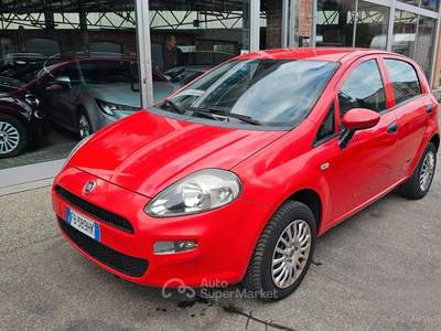 Fiat Punto 5 porte Natural Power Street usata Torino