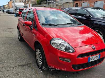 Fiat Punto 5 porte Natural Power Street usata Torino