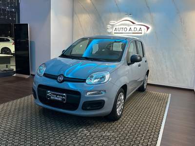 Fiat Panda FireFly S&S Hybrid Grigio usata Prato